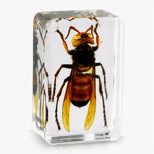 水晶膠和UV膠的區別：選對材料，才能做出理想效果